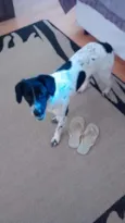 Jack