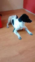 Jack
