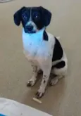 Jack