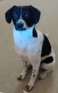 Jack