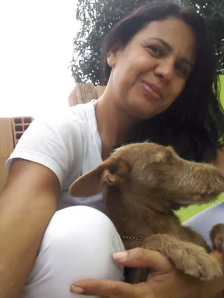 Cachorro ra a Vira lata idade 1 ano nome Rex