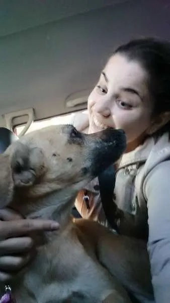 Cachorro ra a SRD idade 2 anos nome Flor