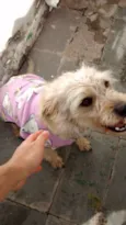 Lola