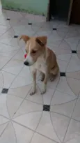 Vitoria 