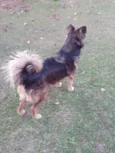 Princesa