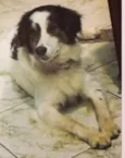 Marley