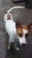 Benny