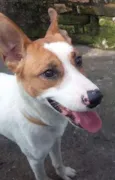 Benny
