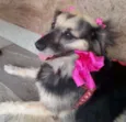 Yoko