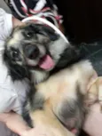 Yoko