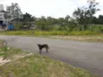 Bob e Bebê