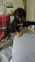 Fofinha