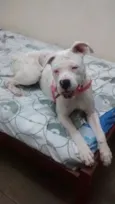Ayca