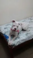 Ayca