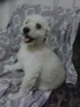 zé