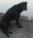 Marley