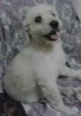 zé