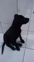 Sophie