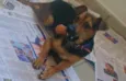 ADOTA PINGO!