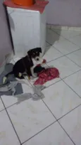 Lola
