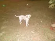 TICO / TECO