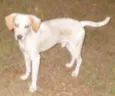 TICO / TECO