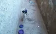 Pituxa