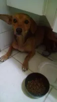 Princesa