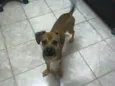 luma