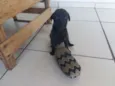diversos