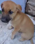Kiara