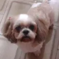 Princesa