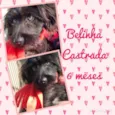 Belinha