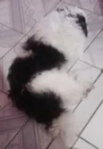 Jake