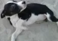 Não tem
