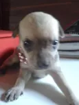 A Espera de um Nome