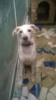 laila