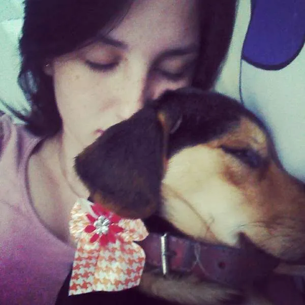 Cachorro ra a Vira-lata idade 1 ano nome Sandy