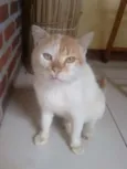 Hunter