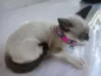 Miúda e Clara