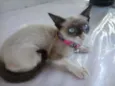 Miúda e Clara