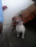 Miúda e Clara