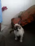 Miúda e Clara