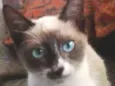 Miúda e Clara