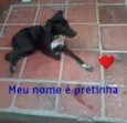 PRETINHA