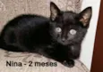 Nina