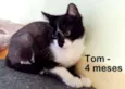Tom