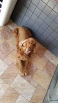 Fred