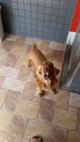 Fred