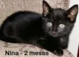 Nina